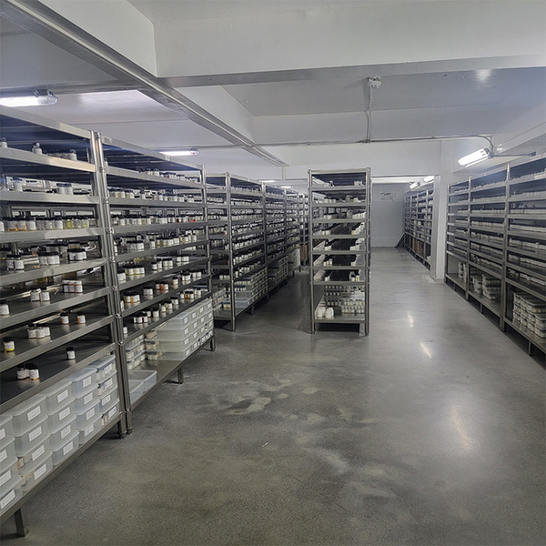 Guangzhou plant fragrance Co., Ltd γραμμή παραγωγής του κατασκευαστή