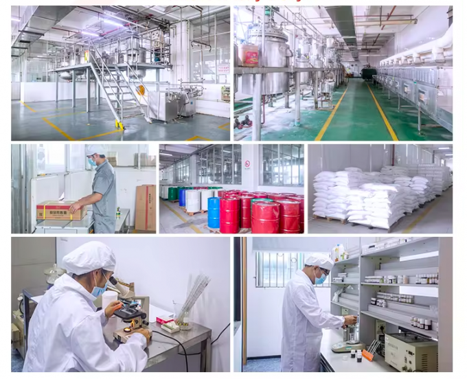 Concentrated Rose Oud Fragrance For Diffuser Air Freshener  Hotel With Free Sample 2