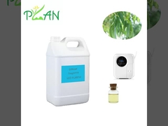 Ευκαλύπτης Διαχέτης Αρωματισμοί Καθαρή φυσική Γαλλία Αρωματισμός έλαιο τσαγιού