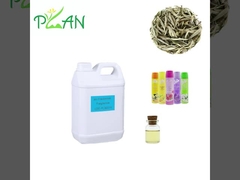 Φυτικό εκχύλισμα Ανοριστικό αέρα Αρώματα αιθέρια έλαια Φυσικό λευκό τσάι Αρώμα