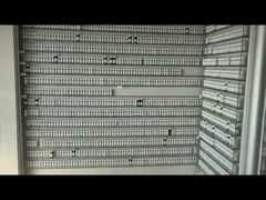 Δωρεάν δείγμα μακροχρόνιου αρώματος, ουσιαστικού ελαίου, γεύσης Daliy για σαμπουάν