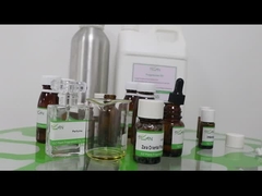 Όλη μέρα Ζάρα Ανατολικό Αρώμα Ουσία Αρώμα Έργο Ελαιο υψηλή συγκέντρωση