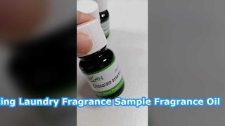 Δείγμα Essence αρώματος μακράς διαρκείας πλυντηρίου