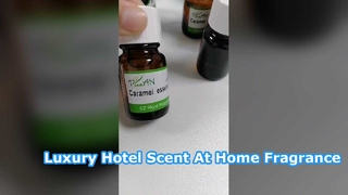 Μεταμορφώστε το σπίτι σας με το Luxury Hotel Lobby Scent Oil