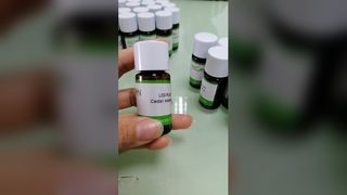 Hidden Fantasy Fragrance Oil Premium Scent Concentrate