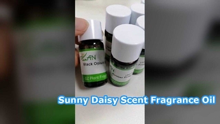 Άρωμα μαργαρίτας ελαίου μακράς διαρκείας για το σπίτι