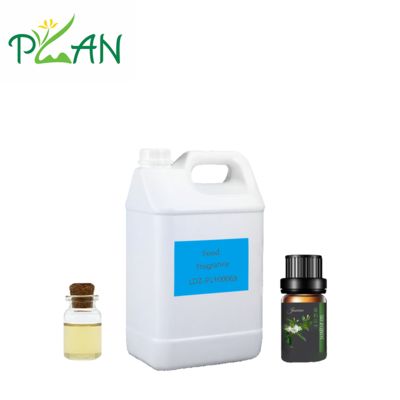 Φυσικό εστιακό ελαιόλαδο μικρής κηλίδας υψηλής συγκέντρωσης για τρόφιμα και ποτά Δωρεάν δείγμα