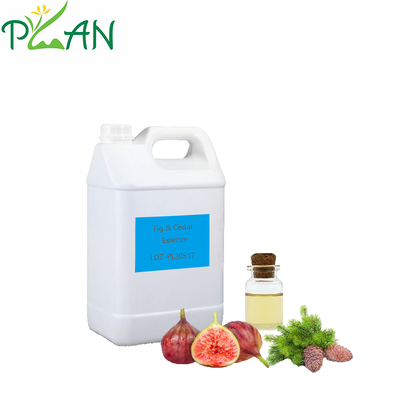Δωρεάν δείγμα Diffuser Αρώματα Συγκεντρωμένο Φύκη & Κέδρος Essence Oil For Reed Stick & Cold Scented Candle& Diffuser Αρώματα Κατασκευή / Παραγωγή